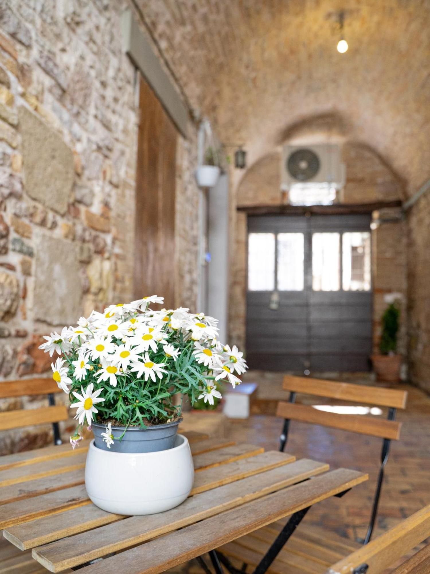 La Casa Dell'Artista Apartment Assisi Ngoại thất bức ảnh